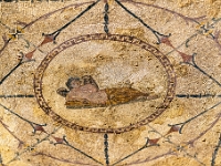 Roman Mosaics